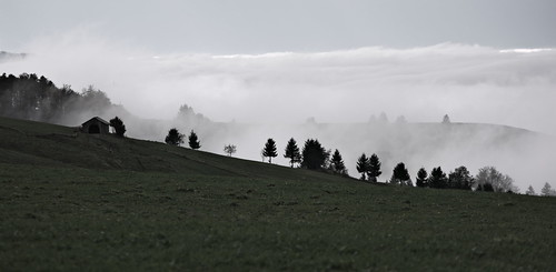 autumn trees mountain silhouette misty fog clouds germany freiburg approaching schauinsland hofsgrund