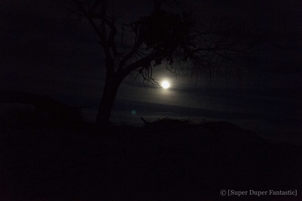 Full Moon Hike at White Sands National Monument