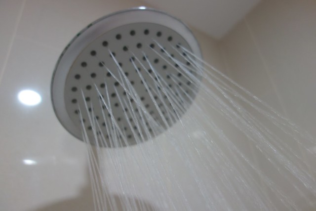 Power shower head in the toilet! 