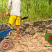Ibiza - BioChar-OM-permaculture-food-forest-Kampot-Cambodia