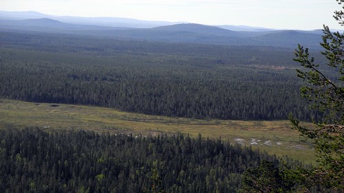 summer finland landscape geotagged nationalpark july lapland fin pep lappi 2014 noitatunturi pyhätunturi kemijärvi kolmonen 201407 pyhäluostonationalpark 20140725 geo:lat=6701042698 geo:lon=2716600482