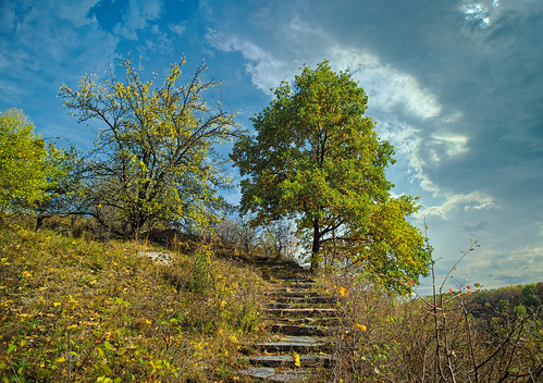 autumn park trees leaves sky landscape forest nature blue clouds fall nikon walk green black landscapes stairs oak hill land go photo up