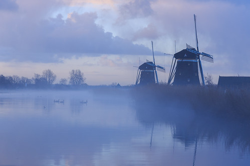 morning mist holland reed water netherlands windmill fog sunrise duck polder channel leidschendam zuidholland groenehart greenheart grondzeiler