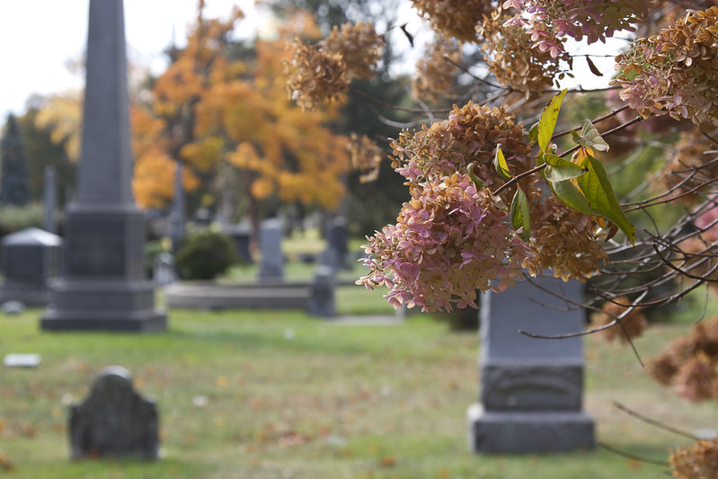 greenwood cemetery, brooklyn, ny