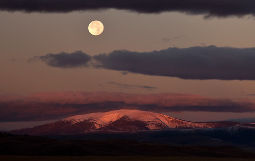 morning moon montana