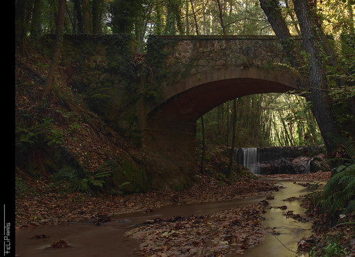 bridge autumn puente pont otoño catalunya tardor laselva santacolomadefarners