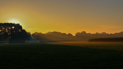 morning autumn orange field sunrise gold golden feld sonnenaufgang morgen dorsten