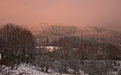 winter wald schnee snow mountain wow nature suhl thüringen thuringia deutschland germany nikon nikond3300 sunset scenery