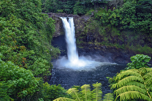 hilo hawaii nikon d600 big island nikkor 24120mm f4 vr lens al case