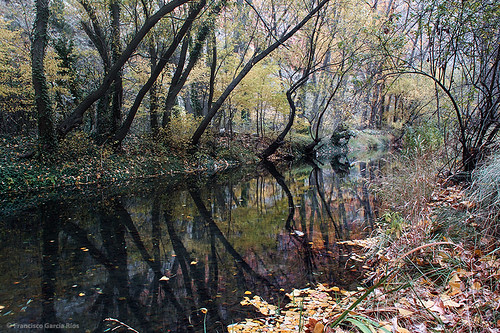 autumn españa nature río river landscape spain riverside paisaje otoño orilla guadalaviar recesvintus