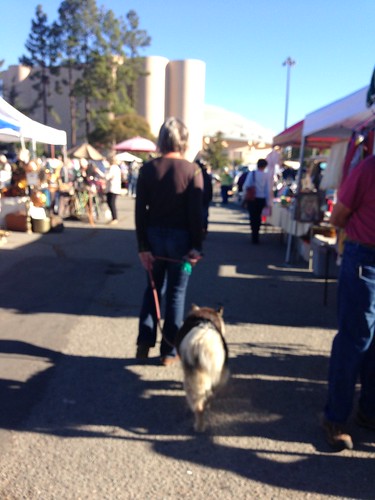Dog in tow, flea market