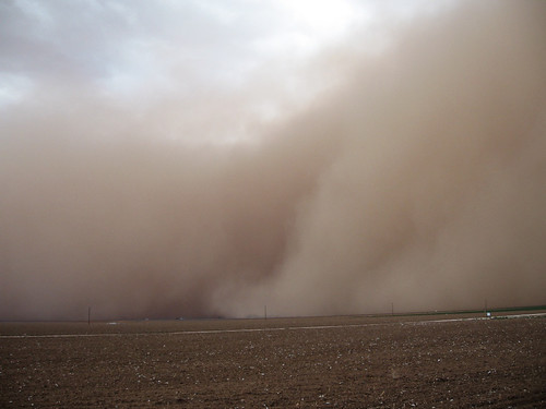 Topsoil from unprotected fields is carried across the landscape by high winds. Photo courtesy Spokane County Conservation District.