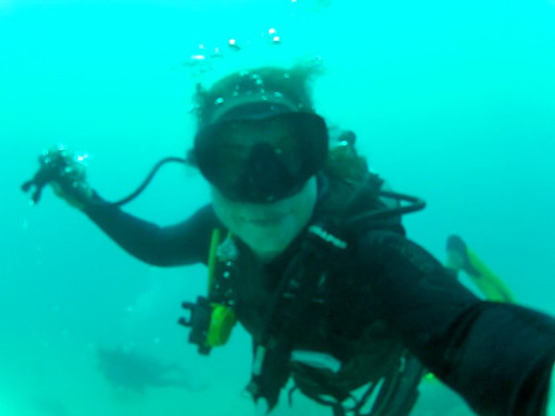Diving Hawaii with Lisa