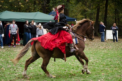 Horse and Falcon demonstration for the Queen
