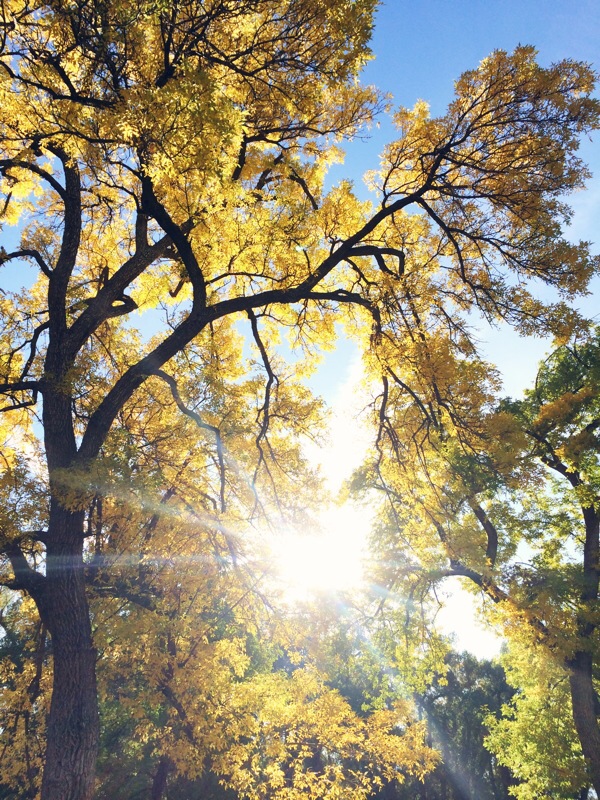 Fall in Utah, October 2014
