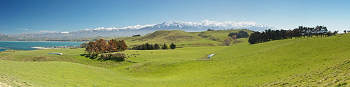 newzealand panorama spring farmland southisland aotearoa kaikoura neuseeland nieuwzeeland 2014 nuevazelanda 新西蘭 nouvellezélande kaikouraranges ニュージーランド 新西兰 canon1755mmf28is kaikourapeninsulawalkway canon70d