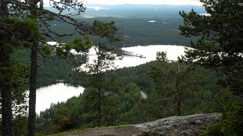 summer panorama lake forest finland landscape geotagged july kuusamo fin stitched 2014 konttainen koillismaa 201407 purnujärvi konttaisjärvi 20140705 geo:lat=6621111698 geo:lon=2921286107