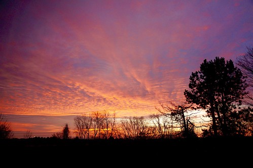 morning trees winter sky fall silhouette sunrise dawn michigan annarbor