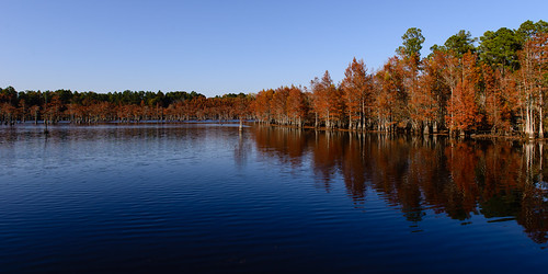 autumn lake fall water reflections georgia pond explore cypresstrees georgelsmithstatepark twincity afsnikkor2470mmf28ged nikond610 anthonyleverittphotography