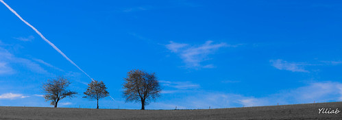 france color tree alpes canon french landscape photo flickr photographie professional arbres paysage photographe eos5d ylliab ylliabphoto laphotographiesimple