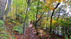 Autumn walk - Anse de Combrit