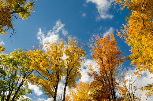 fall fallcolor michigan fallinmichigan autumn fair sunny 1000views onethousandviews