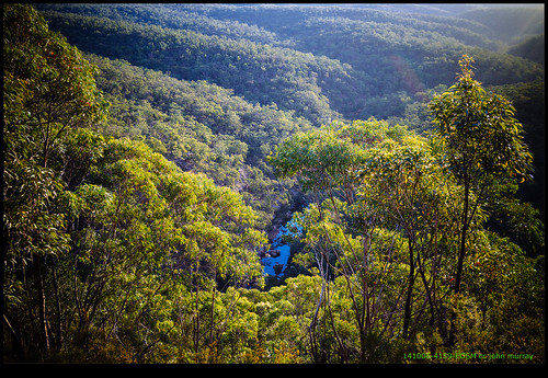 trees australia bluemountains newsouthwales 2014 glenbrook jellybeanpool