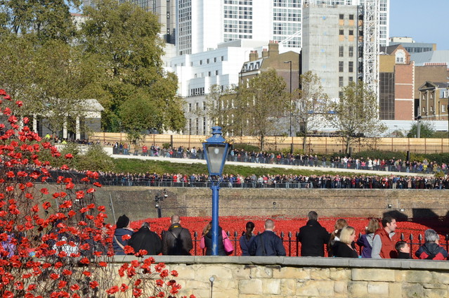 Remembrance day 15