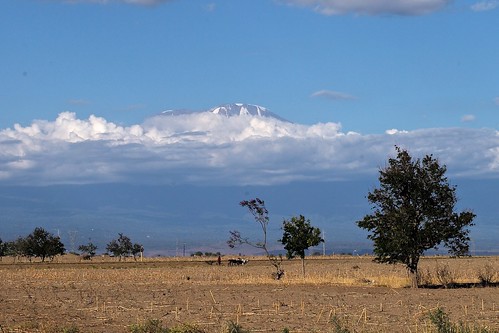 africa leica kilimanjaro landscape tanzania m safari mount 50 summilux 240
