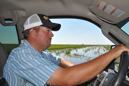 Private landowner Taylor Wilcox looks over flooded fallow rice fields on his Chambers County, Texas property. NRCS photo.