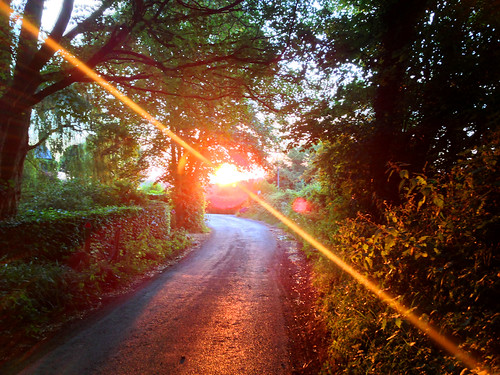 sunset down hampshire lane between blackmoor the selborne oakhangar