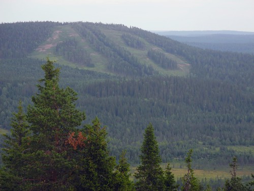 summer forest finland landscape geotagged july op fin pudasjärvi fjeld 2014 isosyöte pikkusyöte 201407 pohjoispohjanmaa 20140726 geo:lat=6562290855 geo:lon=2761014603