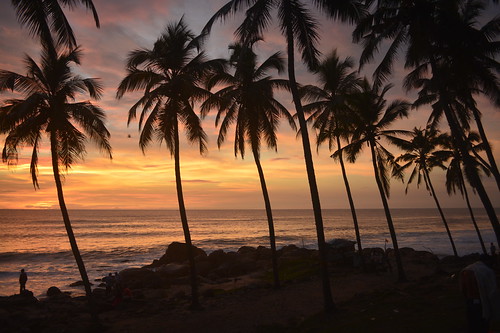 sunset sea orange beach palms seaside waves kerala goldenhour trivandrum kovalam coconutpalms godsowncountry thiruvananthapuram