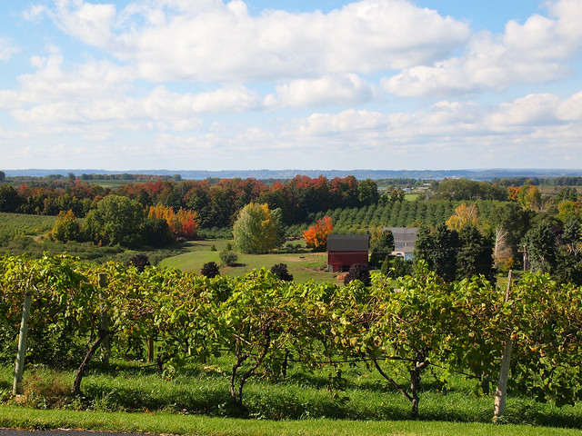 Chateau Chantal winery in Michigan