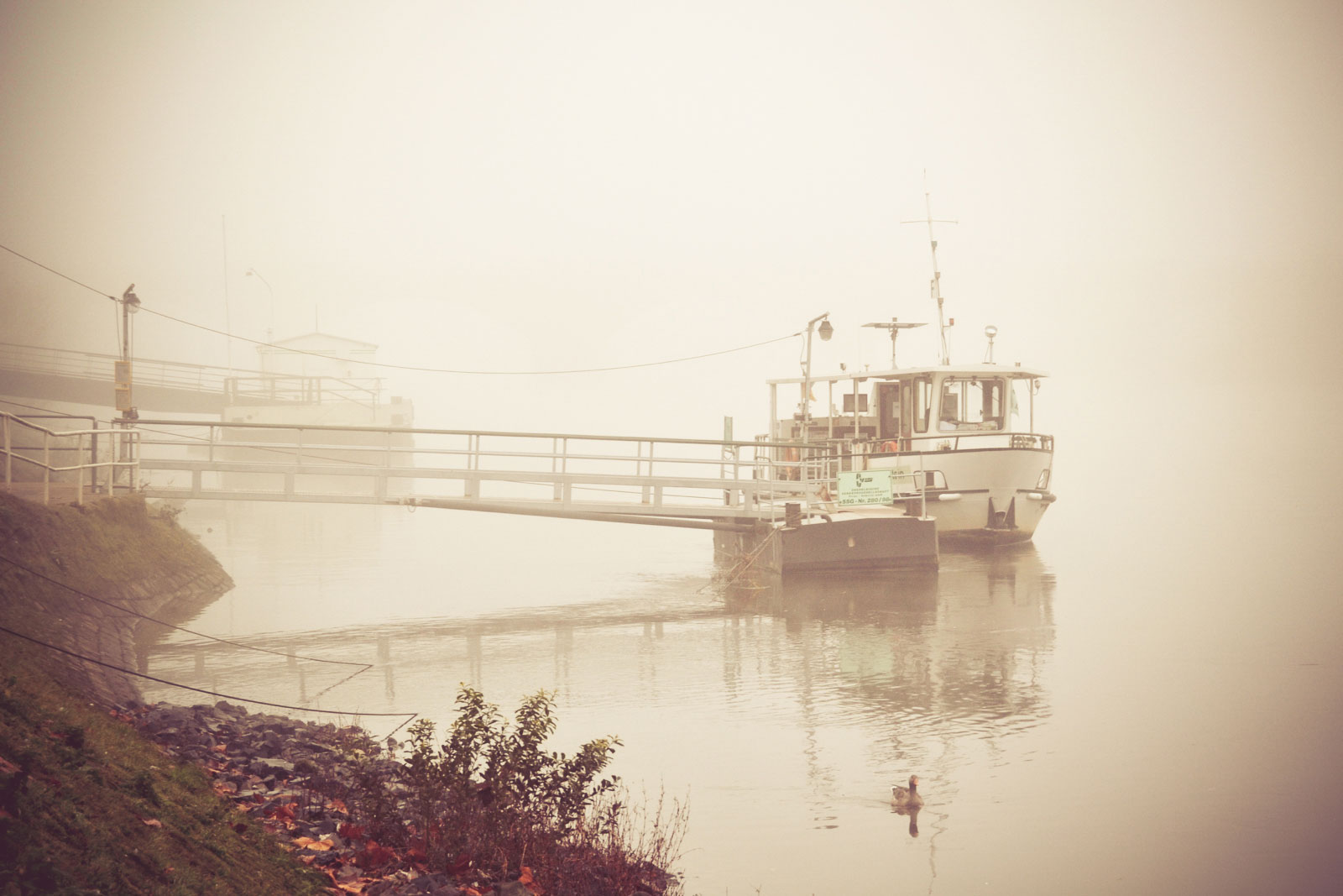 Fluss im Nebel