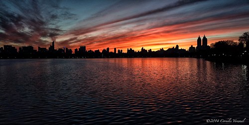 newyork skyline centralpark sunsets eldorado reservoir ricohgr