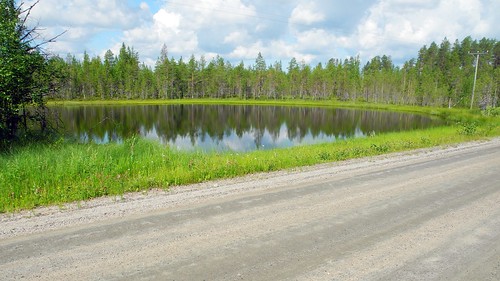 summer lake forest finland geotagged july lapland fin bog lappi 2014 kemijärvi isojärvi 201407 niskalampi 20140719 geo:lat=6643583320 morottajantie geo:lon=2812877655