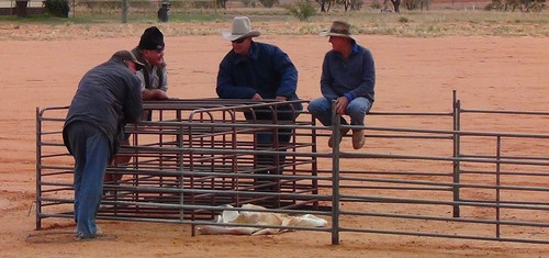 sw qld jundah shenanigans barcoo shire outback