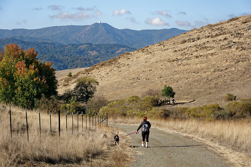 california unitedstates sanjose mthamilton walkingthedog santateresacountypark