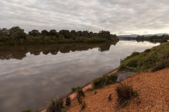 Taree - Manning River
