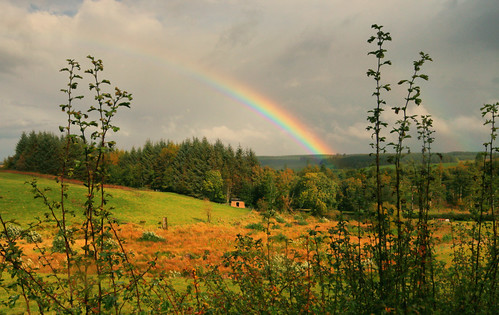 rainbow galloway forest national park ayrshire scotland scottish uk united kingdom great britain british wedding hut house wood woodland hedge tree trees grass green light clouds cloud cloudy sunny sunshine sunlight sunlit lighting october autumn autumnal rain rainy weather fall travel holiday trip canon 70d sigma landscape view scene scenic scenery countryside nature natural beautiful colour colourful red yellow blue violet photo photograph photography andy watson outdoor outside blairquhan straiton saturation saturated