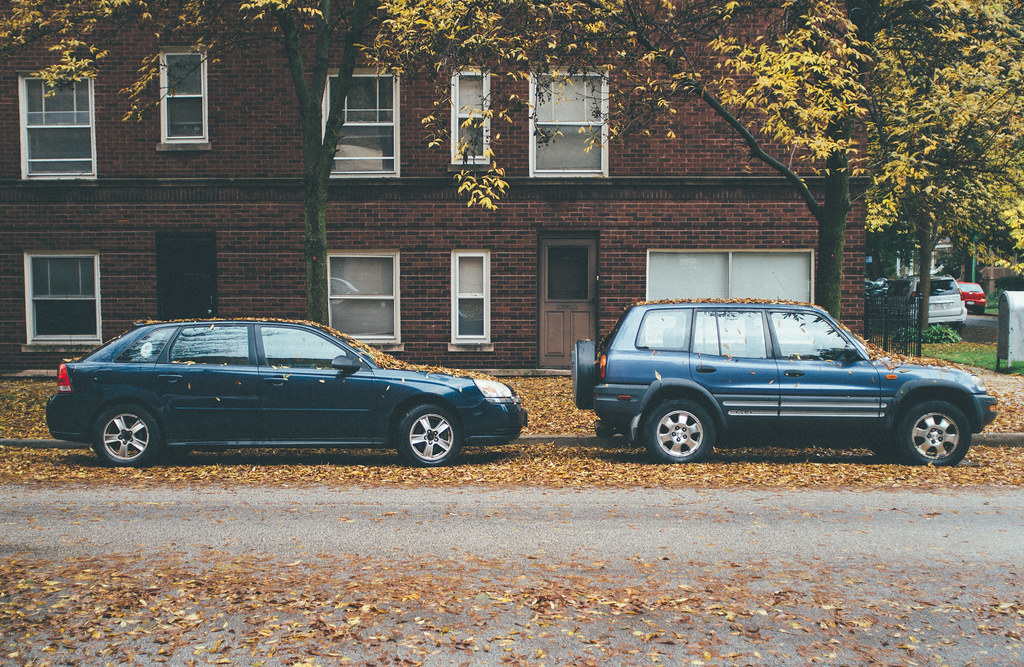Cars in Autumn