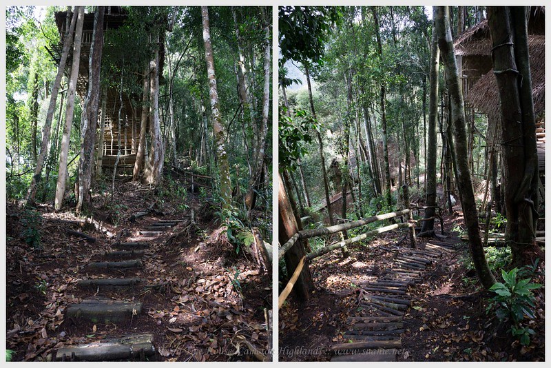 Terra Tree House Cameron Highlands - tree house routes