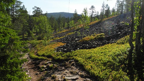 summer sol finland landscape geotagged nationalpark july lapland fin lappi 2014 pyhätunturi pelkosenniemi 201407 pyhäluostonationalpark 20140725 geo:lat=6701915952 geo:lon=2715365410 kuorinkiharju