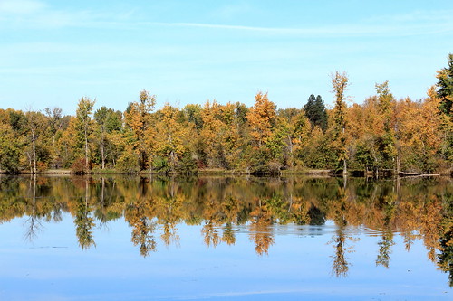autumn trees lake water leaves reflections pond washingtonstate kittitascounty careyponds