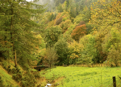 wood bridge autumn trees water wales landscape stream view northwales nikon5100 panoramaautumn