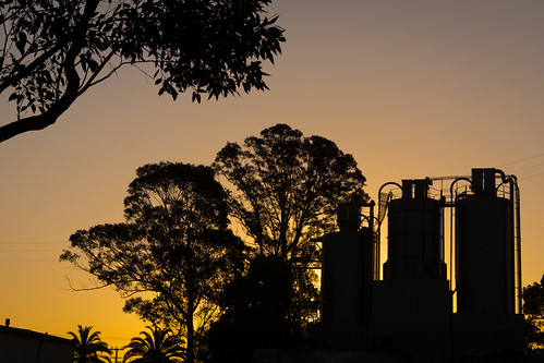 trees sunset sun silhouette industrial dusk sony sigma australia silo newsouthwales goldenlight wauchope lerps sonyalphadslr sigma1850mmf28exdcmacro sonyalphaa77v daniellerps