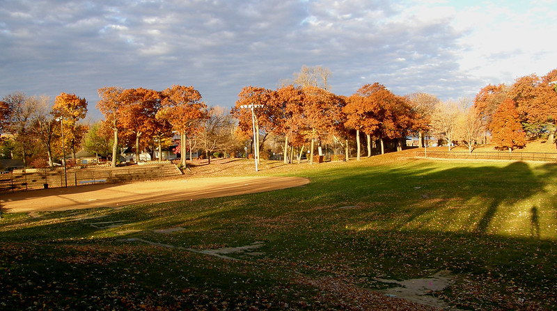 Autumn tree line at the Excelsior Commons