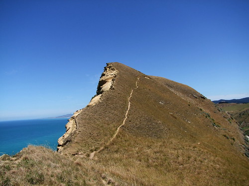 newzealand northisland narrow castlepoint fujifilmfinepixs100fs breathtakingpath