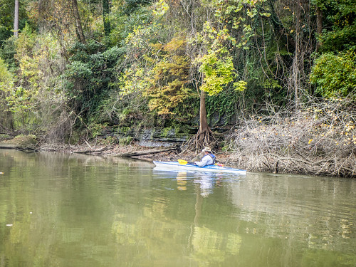 georgia us unitedstates kayaking paddling savannahriver lcu clyo lowcountryunfiltered stokesbluff myershistorical